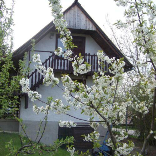 Nefelejcs Apartman Fertőhomok Exterior foto